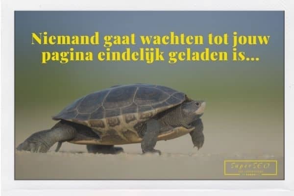 langzaam laden van je website is funest voor je positie in Google en je gebruikers. laadtijden van meer dan 3 seconden per pagina kunnen echt niet meer.